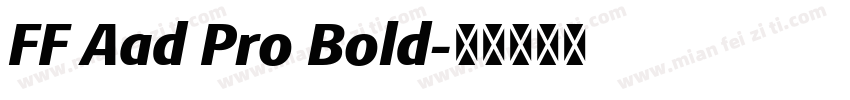 FF Aad Pro Bold字体转换